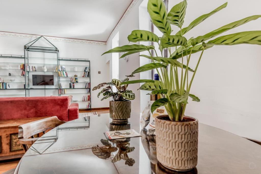 شقة Casa Ghetto 13 روما المظهر الخارجي الصورة